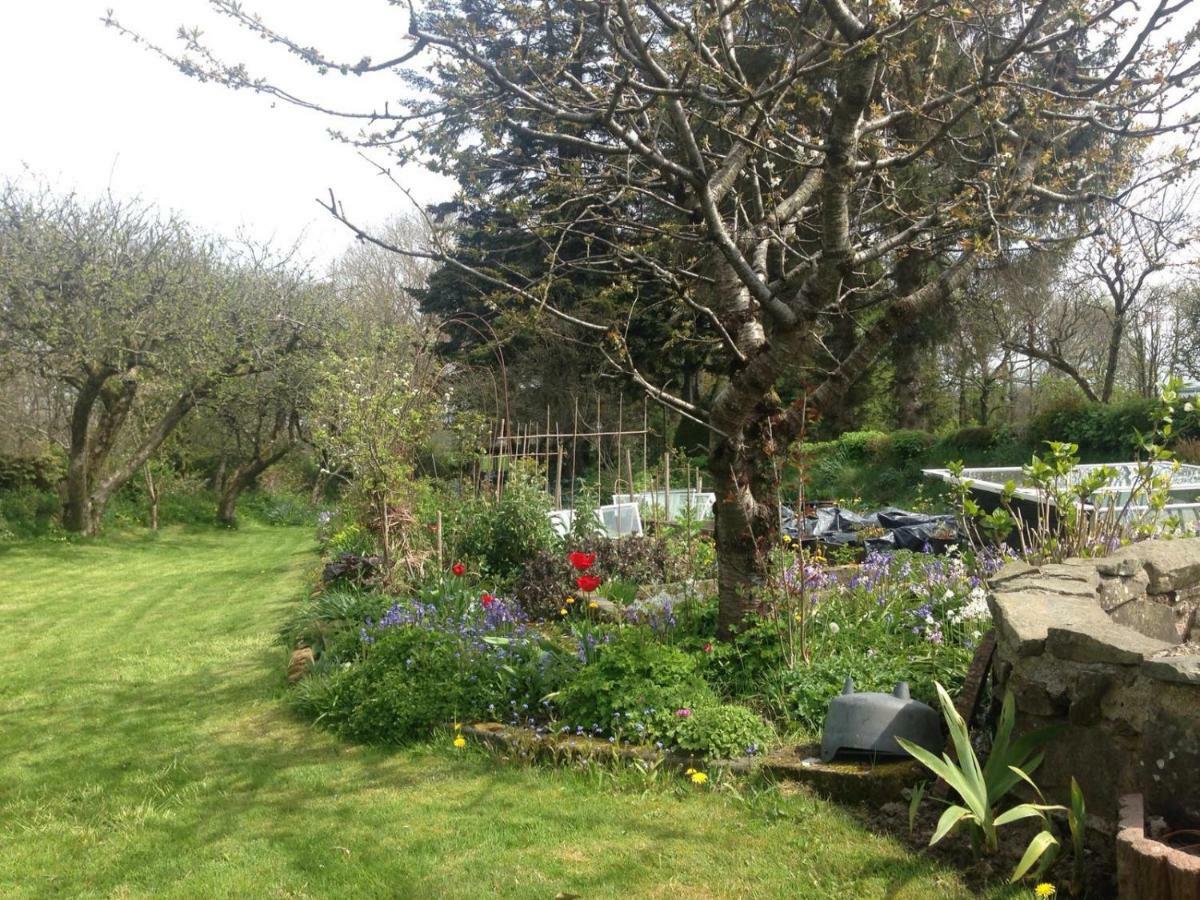 Parc Farm B&B Llanarth  Exterior photo