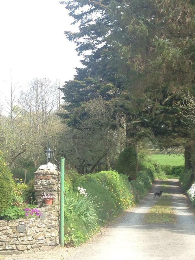 Parc Farm B&B Llanarth  Exterior photo